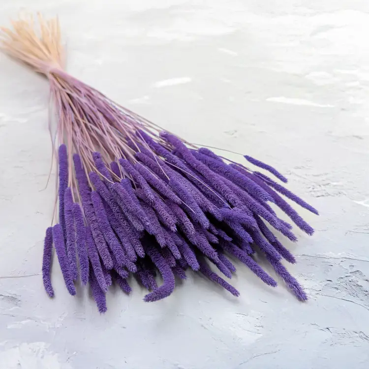 3331a9fef66bd803968f16907b4e60e0