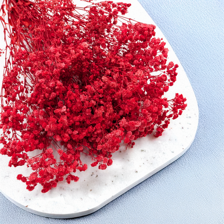 d1532d7276a76905d15ddf9180cb03cd