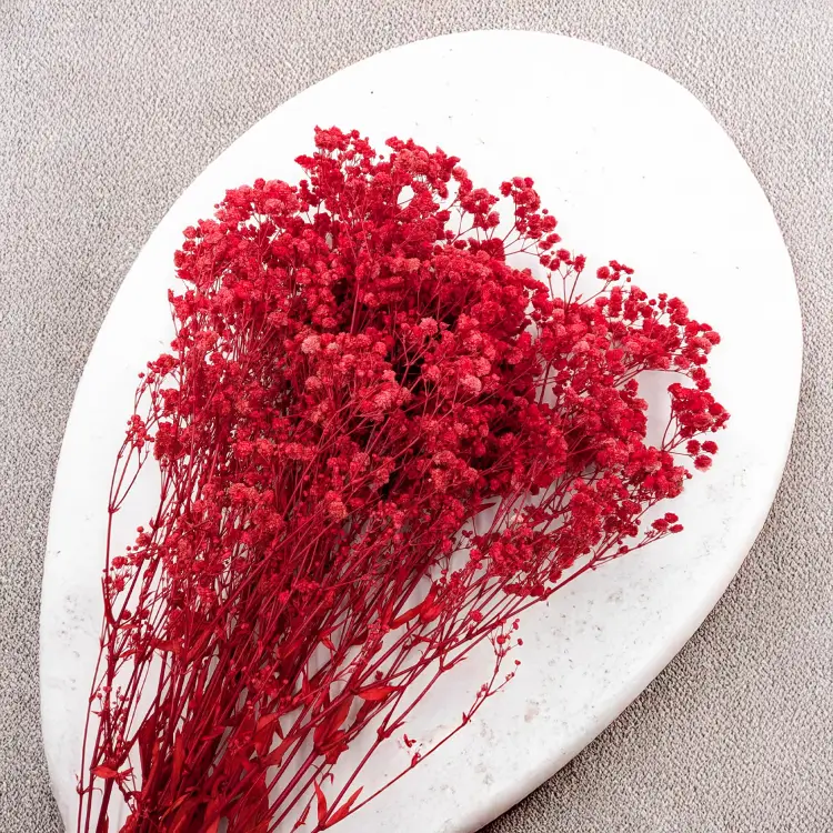 35b69ac31af73ef99dd9875c871d8cbf