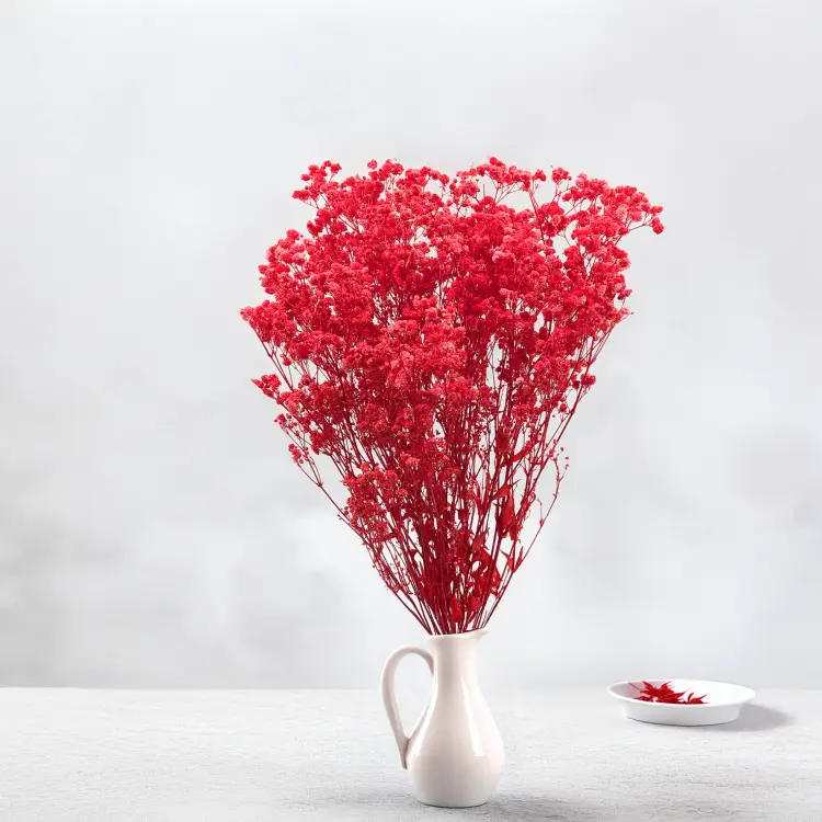 77e2727fb77862501186dc29258511f8