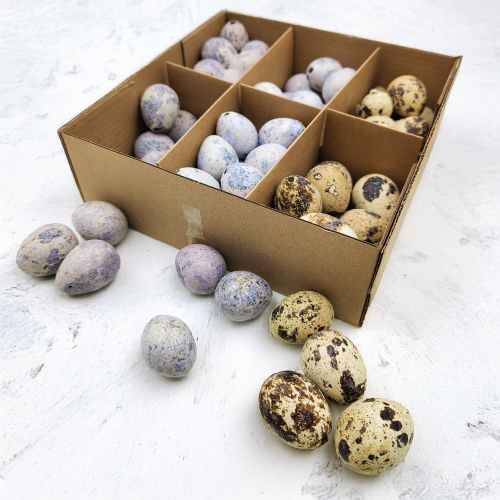 51669935ed3446d4441088ff6c2f712b