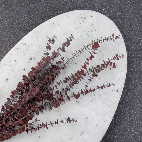 316289bd2f60e658580b315377fc2eff