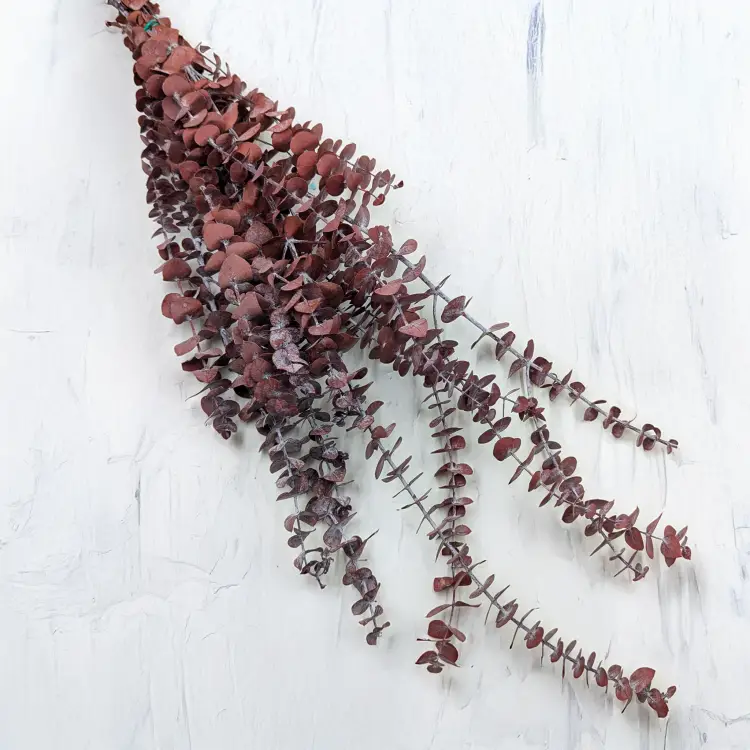 2564cf019fb56a15d655a7e5dede0ad8