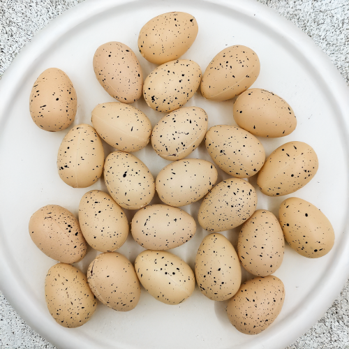 c84f2c6e8386476dc2088b648fd20995