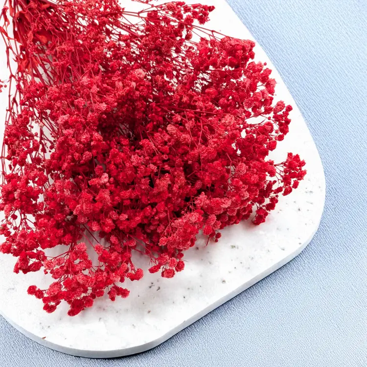 d1532d7276a76905d15ddf9180cb03cd