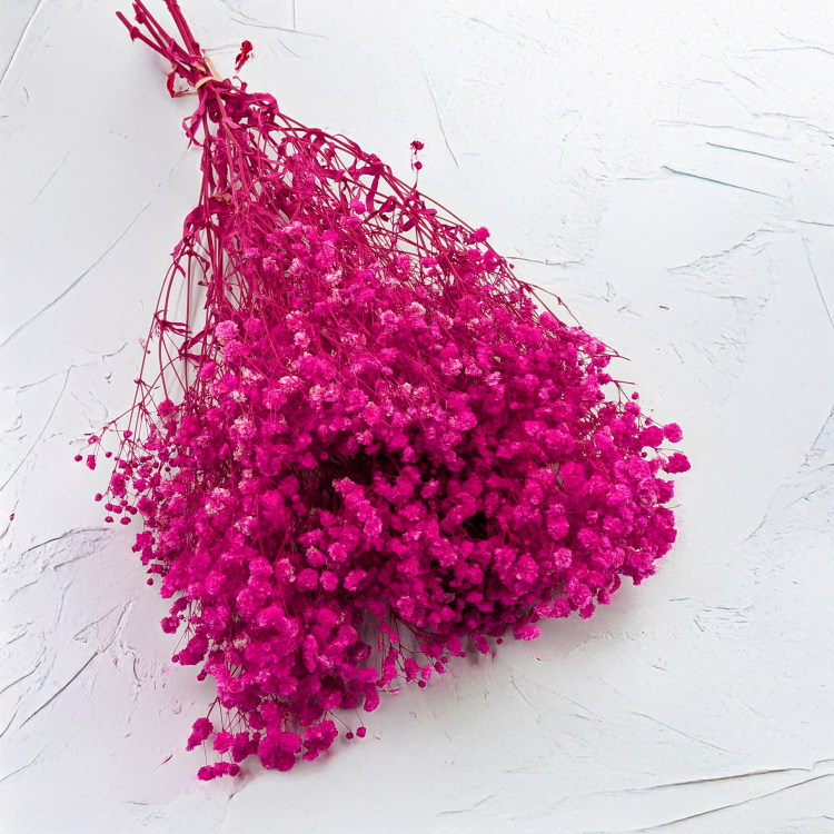 2cb281dce99a3d0ee112fe969efc91e1