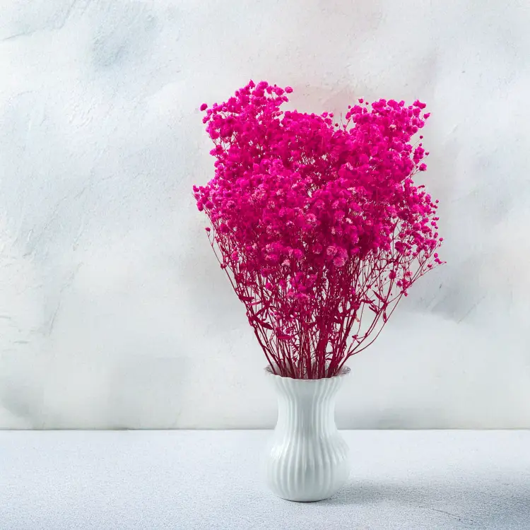 efbb48be042cecaccdc31905ded8b63a