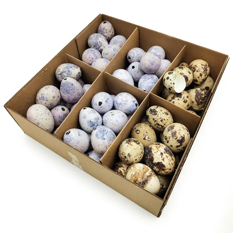 276129714754585f79d16bd1ac9be990