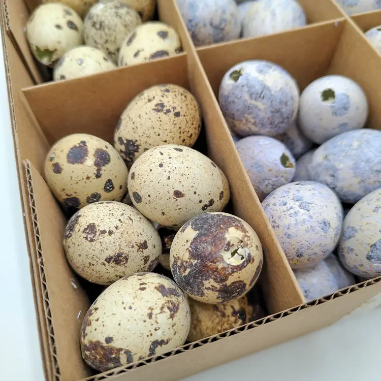 0215f199877a7692b13c8792daf74530