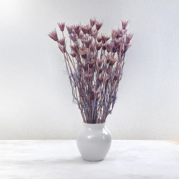 c0b80786db025dbd281ca6cc2974e059