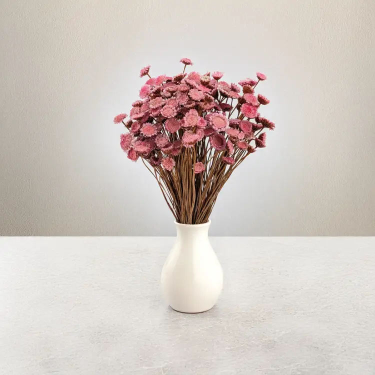 Glixia Big różowa 5.png