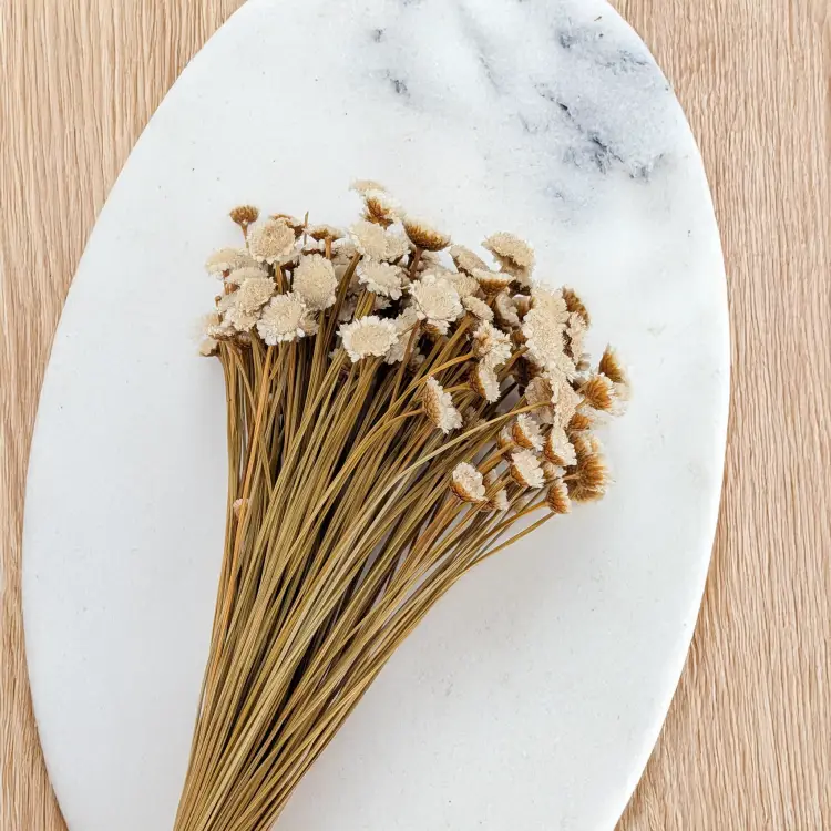 Glixia Big naturalna 3.png