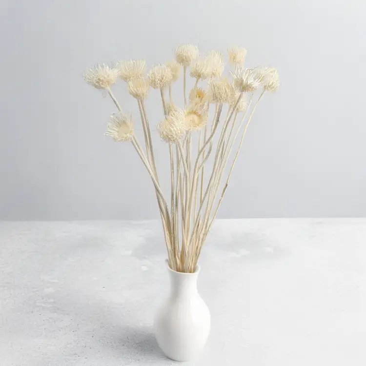 15095.png