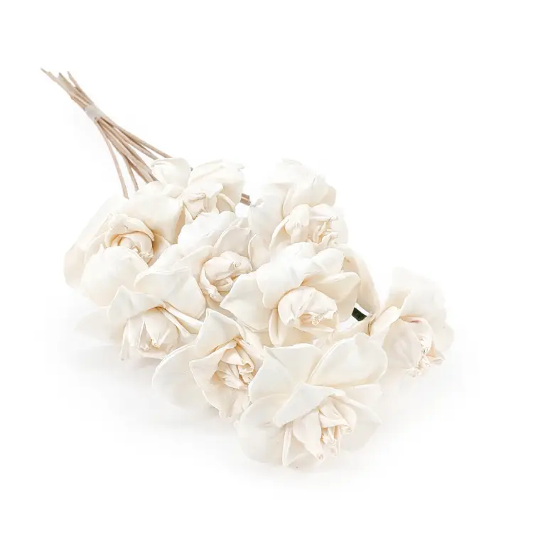 Shola - sola - Begonia bukiet 10szt.png
