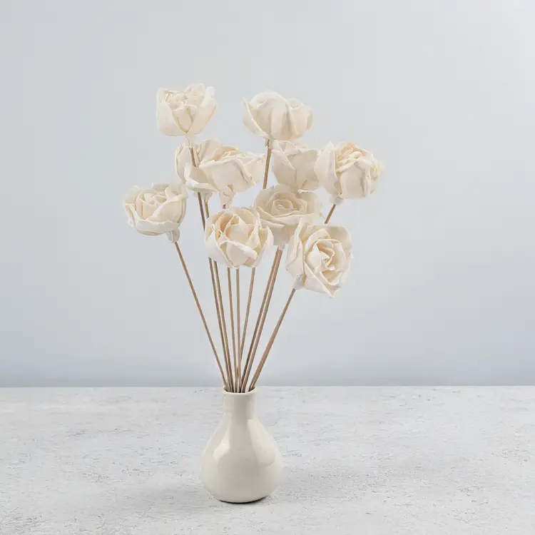 Shola Rose Special 4.png