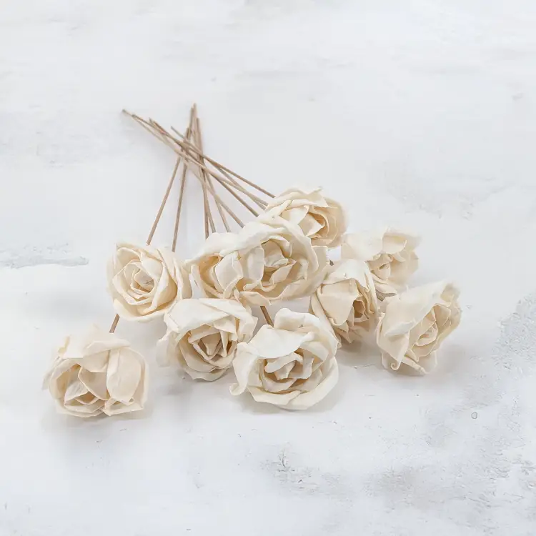Shola Rose Special.png