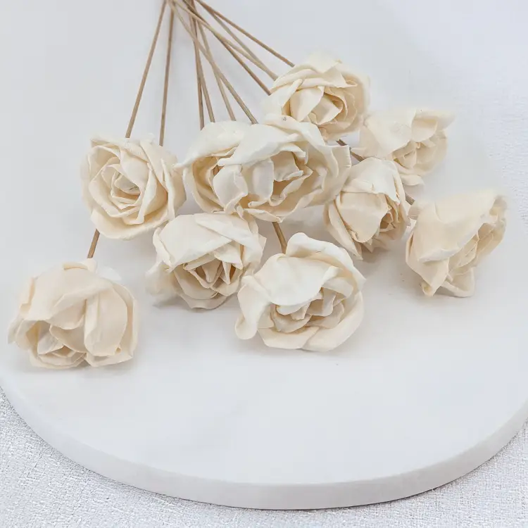 Shola Rose Special 1.png