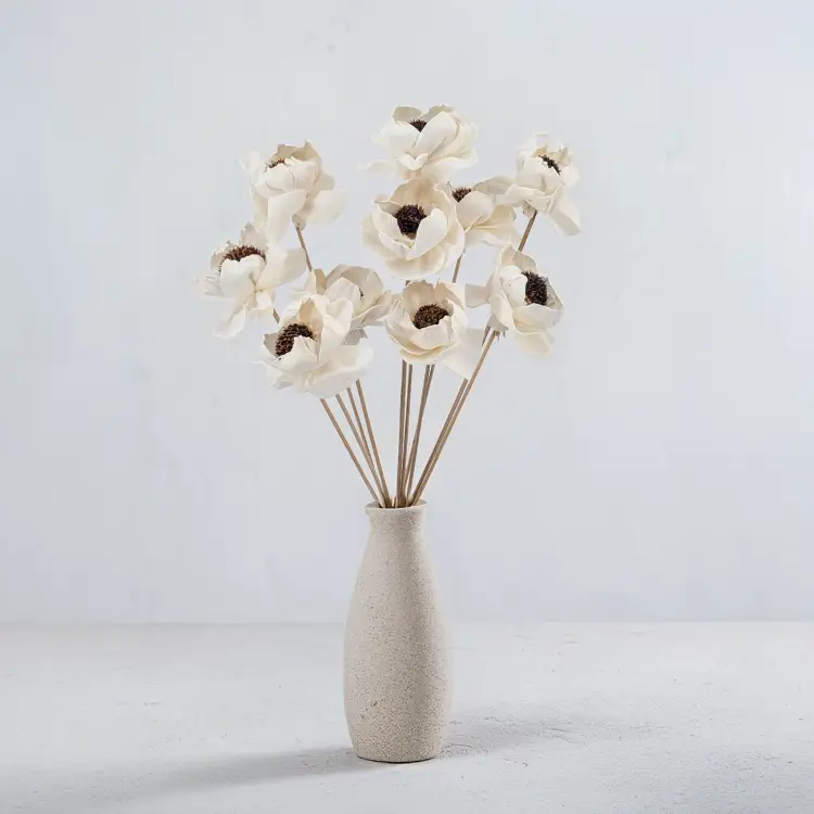 Shola Peony Titonia.png
