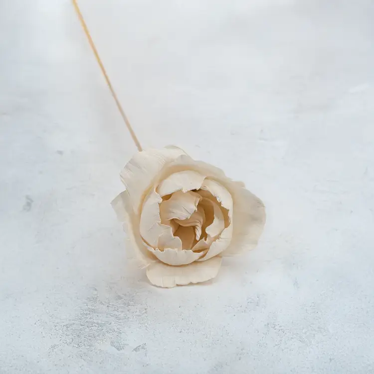 Shola Peony 2.png