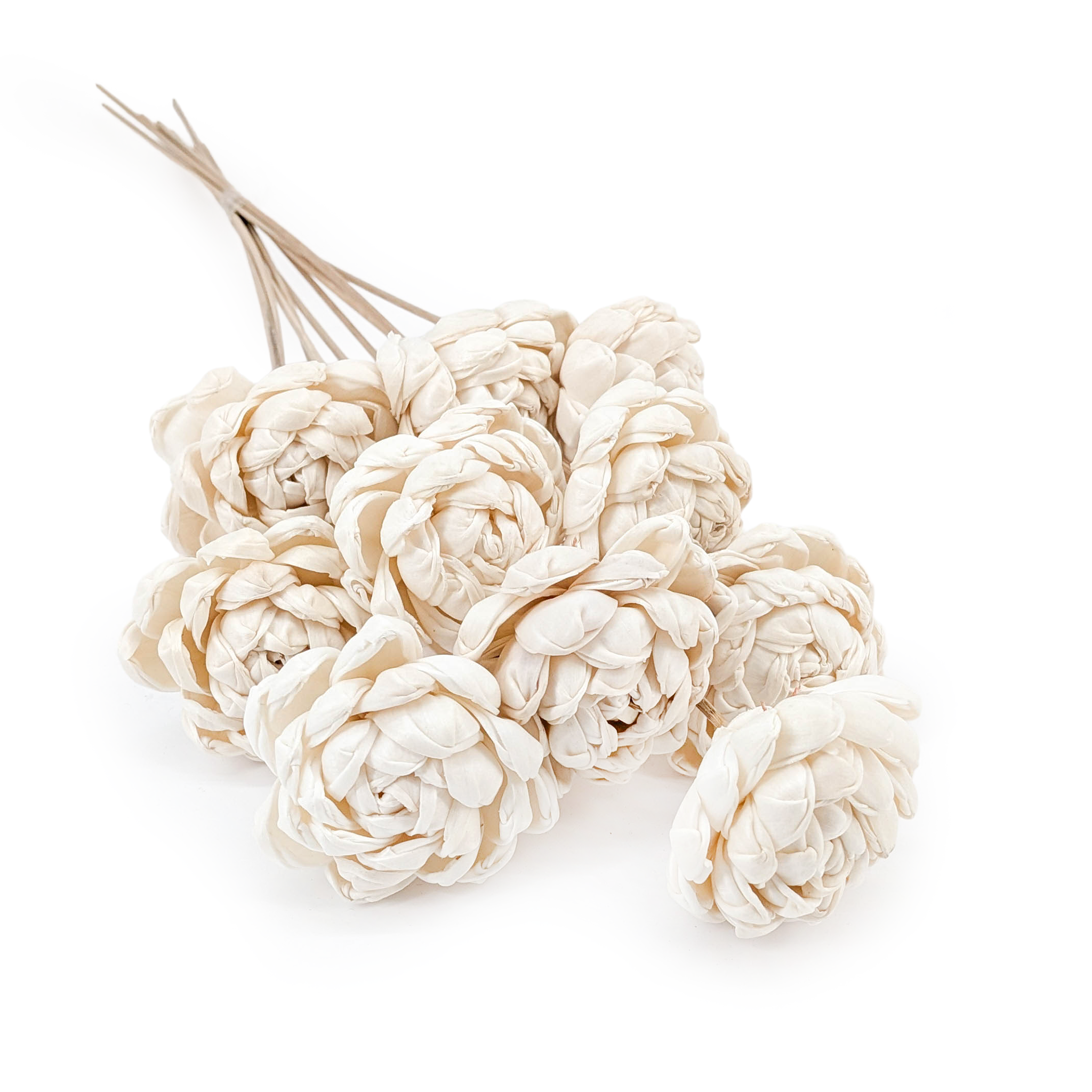 Kwiat Shola - (Sola Dahlia) - na łodydze - 10szt