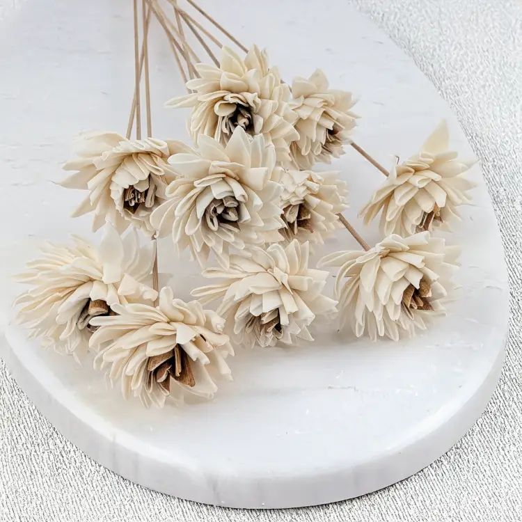 Shola Electra 1.png