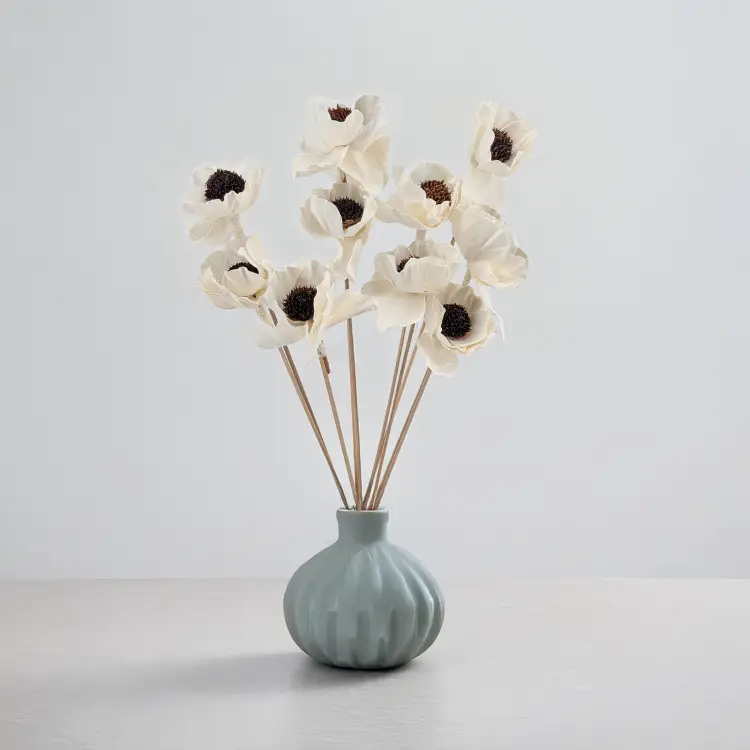 Shola Poppy.png