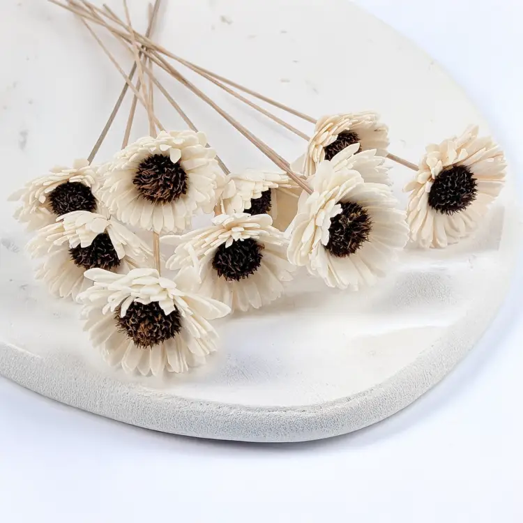 Shola Sunflower 1.png
