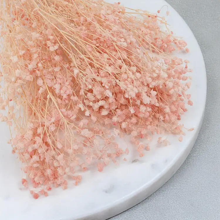 Gips royal Soft Pink 2.png