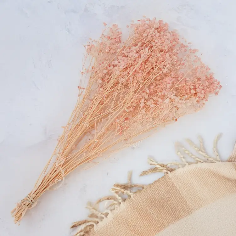Gips royal Soft Pink 3.png