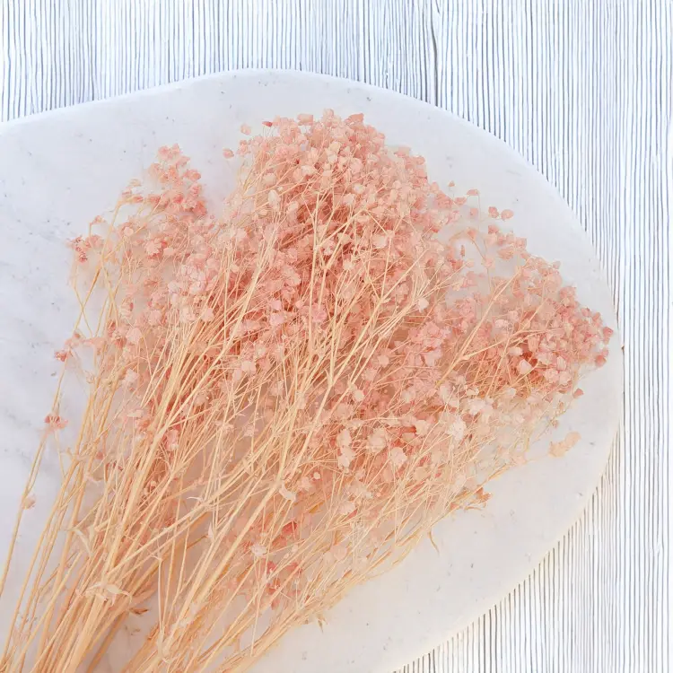 Gips royal Soft Pink 4.png