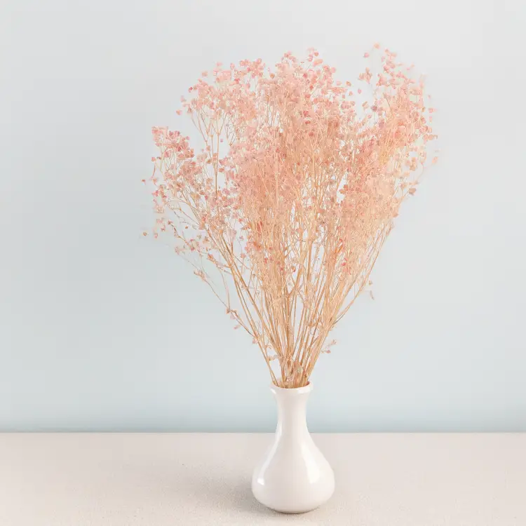 Gips royal Soft Pink 5.png