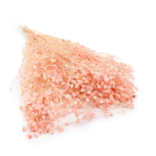 Gips royal Soft Pink 00.png