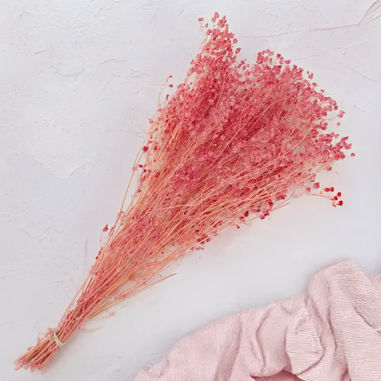 gips royal raspberry 3.png