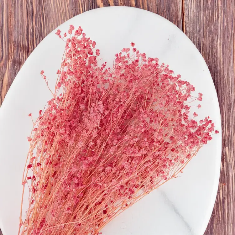 gips royal raspberry 4.png