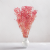 gips royal raspberry 5.png