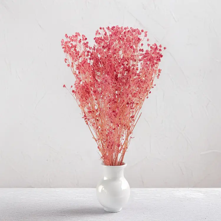 gips royal raspberry 5.png