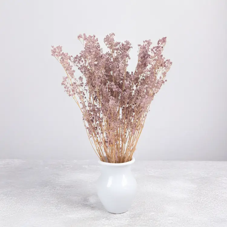 Gips dusty lavender 13 bb 5.png