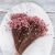 Glixia pink IT 4.png