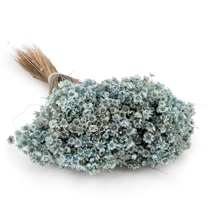 glixia Sky blue IT.png