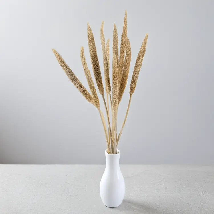 Babla Stick 4.png
