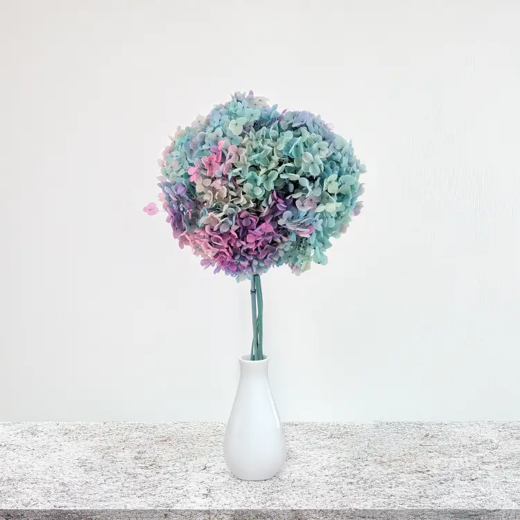 Hydrangea two tone Green 4.png
