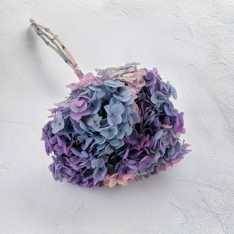 Hydrangea Royal two tone violet 2.png
