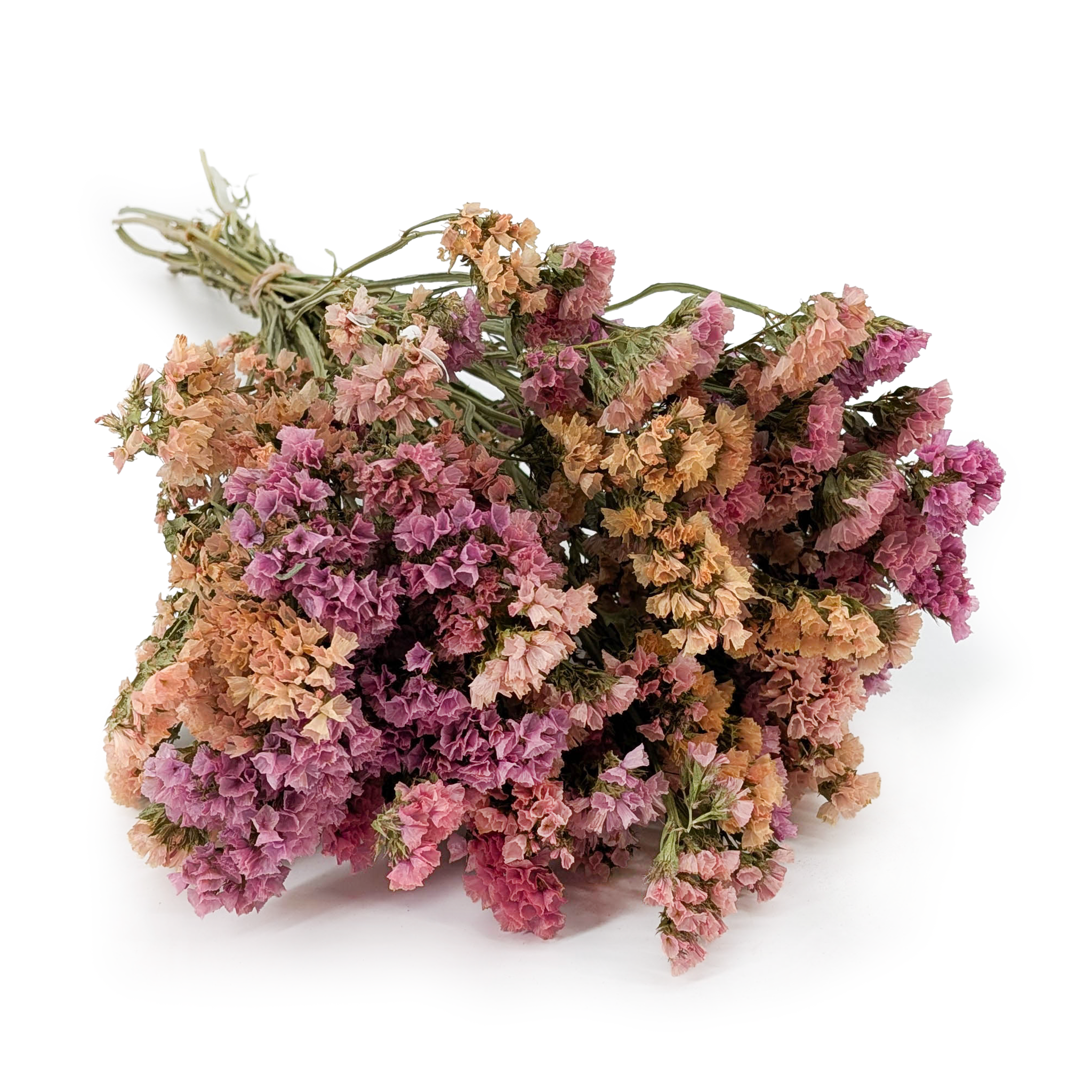 Zatrwian Wrębny  - Limonium sinuatum - Morelowy