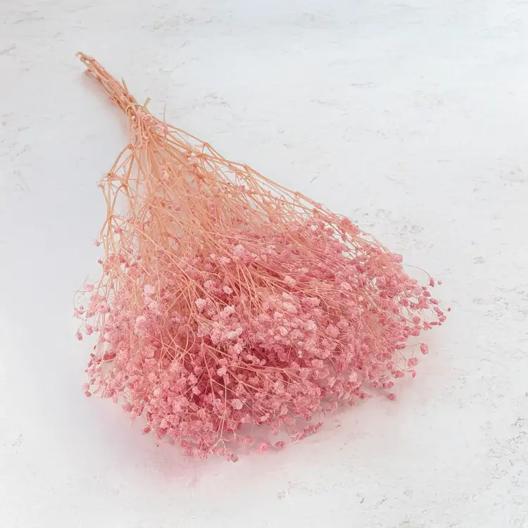 Gips BB soft pink 03 1.png