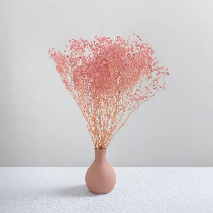 Gips BB soft pink 03 4.png