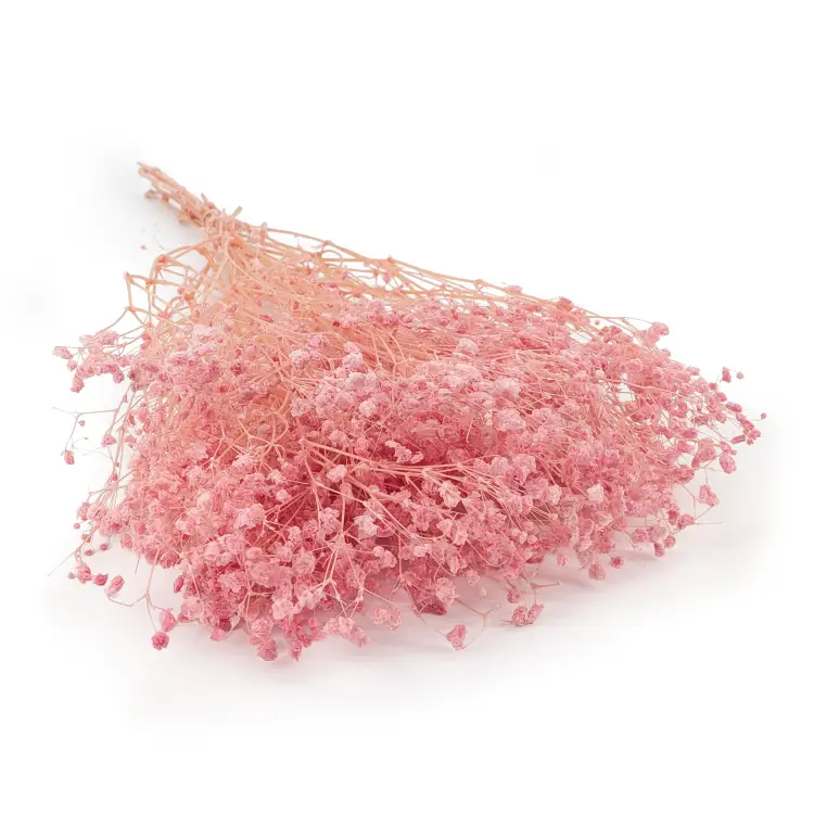 Gips BB soft pink 03.png