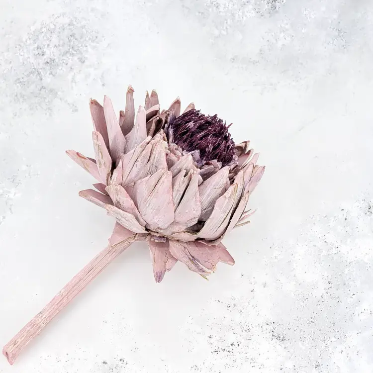 Karczoch suszony – Artichoke – Frosted Rose – 1szt_5.png