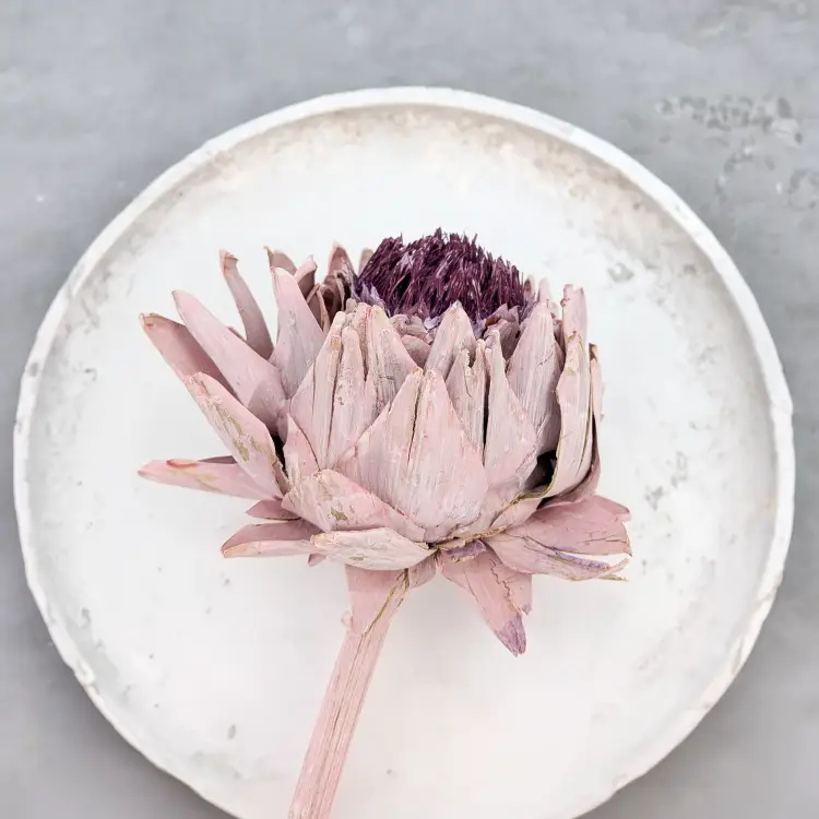 Karczoch suszony – Artichoke – Frosted Rose – 1szt_4.png