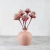 plumosum pink 6.png