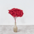 Hydrangea Burgund Royal 5.png